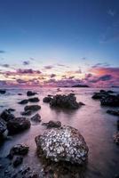 vackra ostronskal på stranden foto