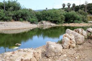 vegetation på de banker av en flod i nordlig Israel foto