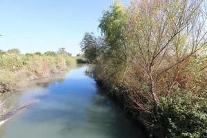vegetation på de banker av en flod i nordlig Israel foto