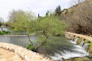 vegetation på de banker av en flod i nordlig Israel foto