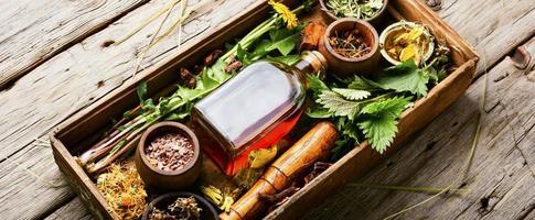 homeopatisk örter och rötter i ört- medicin foto