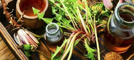 maskros eller taraxacum i naturlig ört- medicin foto