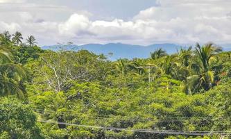 skön natur med handflatan träd och bergen puerto escondido Mexiko. foto