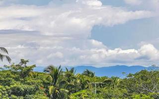 skön natur med handflatan träd och bergen puerto escondido Mexiko. foto