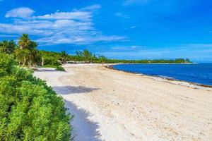 playa del carmen quintana roo mexico 2022 tropisk mexikansk strand sand handflatan människor playa del carmen Mexiko. foto