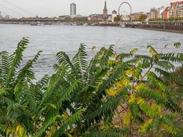 Düsseldorf på de Rhen flod foto