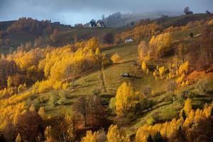 färgrik höst landskap i de berg by. dimmig morgon- i de karpater bergen i Rumänien. Fantastisk natur. foto