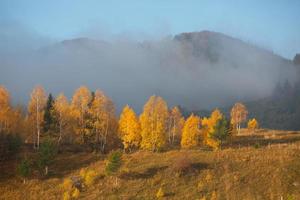 färgrik höst landskap i de berg by. dimmig morgon- i de karpater bergen i Rumänien. Fantastisk natur. foto