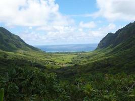 dalen mot havet, oahu, honolulu, hawaii, usa foto