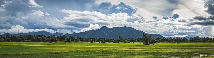 grönt risfält med bergsbakgrund under blå himmel, panoramautsikt risfält. foto