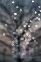 defokuserade nattlampor på ett lövträd foto