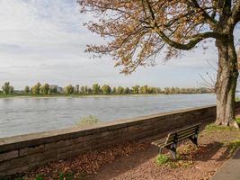 Düsseldorf på de Rhen flod foto