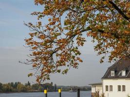 Düsseldorf och de Rhen flod foto