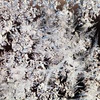 snöflingor och frost mönster på glas stänga upp foto