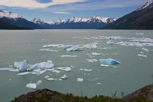 isberg som flyter på sjön argentino