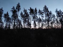 morgon- och natt panorama av gryning foto