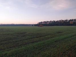 morgon- och natt panorama av gryning foto