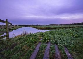 höst färger i de dutch skog, abswoudse bos, delft, de nederländerna. foto