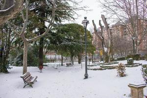 parkera med snötäckt träd i de stad i vinter- foto