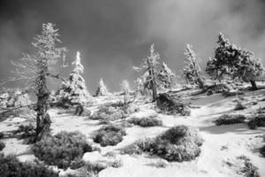 vinterlandskap i tjeckiska berg i svartvitt foto
