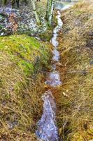 frysta flod ström damm sjö kall natur skog miljö Tyskland. foto