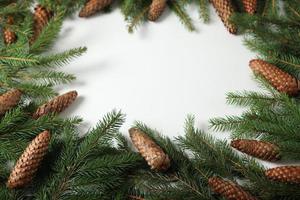 glad jul och Lycklig högtider hälsning kort, ram, baner. ny år. tall träd grenar på vit. foto