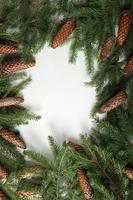 glad jul och Lycklig högtider hälsning kort, ram, baner. ny år. tall träd grenar på vit. foto