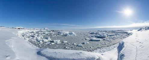 arktisk vår i södra spitsbergen. foto