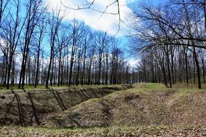 vår landskap med en djup ravin fylld med fallen löv omgiven förbi en massa av träd på de kant av de skog Nästa till de by foto