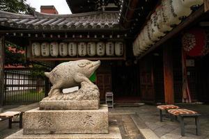 kyoto prefektur, kansai, japan - november 22, 2019 - vildsvin skulptur, de symbol av zenkyoan tempel, ett gammal tempel i higashiyama distrikt i kyoto foto