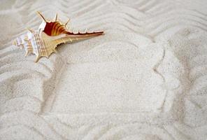 en penseldrag i de sand och en sjöstjärna. de begrepp av rekreation och resa. Plats för text foto