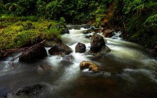 flod i skog landskap med stenar foto