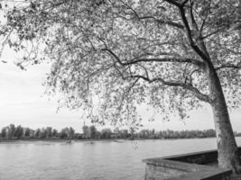 Düsseldorf på de Rhen flod foto