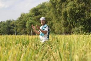 ung asiatisk muslim pojke i de ris fält foto