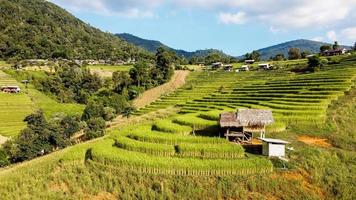 antenn se av ris terrass på förbjuda pa bong piang i chiang mai thailand foto