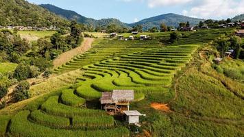 antenn se av ris terrass på förbjuda pa bong piang i chiang mai thailand foto