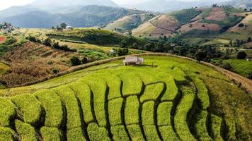 antenn se av ris terrass på förbjuda pa bong piang i chiang mai thailand foto