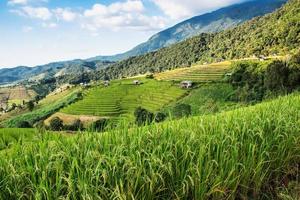 landskap av ris terrass på förbjuda pa bong piang i chiang mai thailand foto