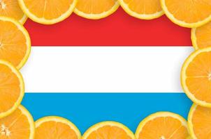 luxemburg flagga i färsk citrus- frukt skivor ram foto