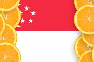 singapore flagga i citrus- frukt skivor vertikal ram foto