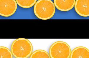 estland flagga i citrus- frukt skivor horisontell ram foto