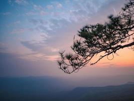 skön solnedgång och silhuett träd på yeabmek klippa på phu kradueng berg nationell parkera i loei stad thailand.phu kradueng berg nationell parkera de känd resa destination foto