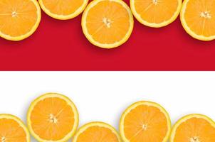 Monaco flagga i citrus- frukt skivor horisontell ram foto