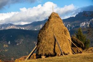 en charmig berg landskap i de bucegi berg, karpaterna, Rumänien. höst natur i moeciu de sus, transsylvanien foto