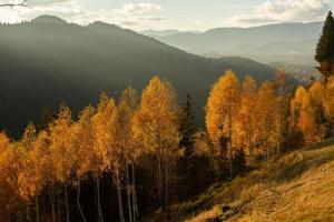 en charmig berg landskap i de bucegi berg, karpaterna, Rumänien. höst natur i moeciu de sus, transsylvanien foto