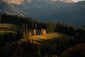 en charmig berg landskap i de bucegi berg, karpaterna, Rumänien. höst natur i moeciu de sus, transsylvanien foto