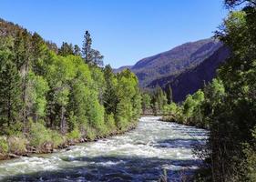 gångbro korsning en colorado flod foto