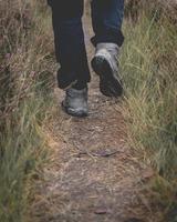 kille vandring i de skog i de nederländerna. noorderheide. foto