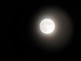 natt måne närbild på de himmel foto