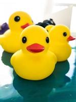 skön gul sudd badkar leksak ankor simma på en blå vatten bakgrund foto